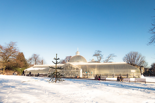 A sunny day in winter with snow covering Glasgow's Botanic Gardens, a public park near Byres Road in the West End of the city.