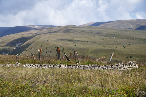 istock Medieval cemetery. Chechnya, Russia 1349773307
