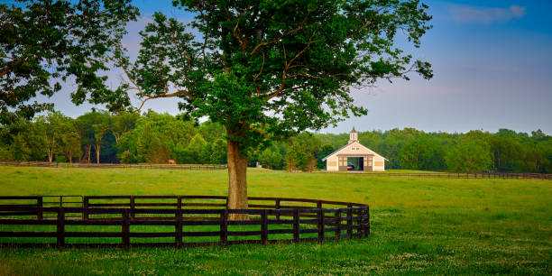istock Kentucky horse barn with field in the foreground. 1349775552
