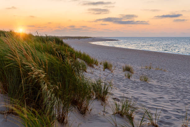 istock Beach and Ocean on the island Sylt 1349775978