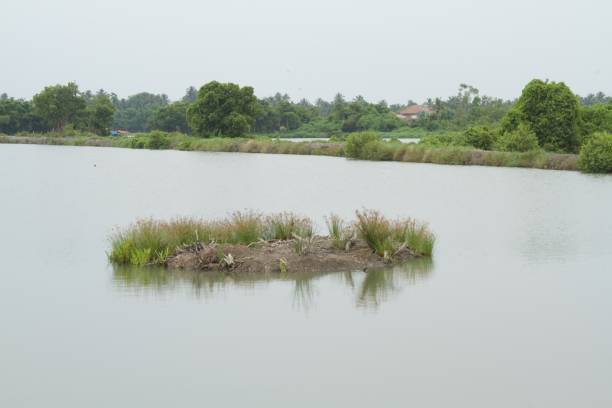 istock view from lake banks 1349781091