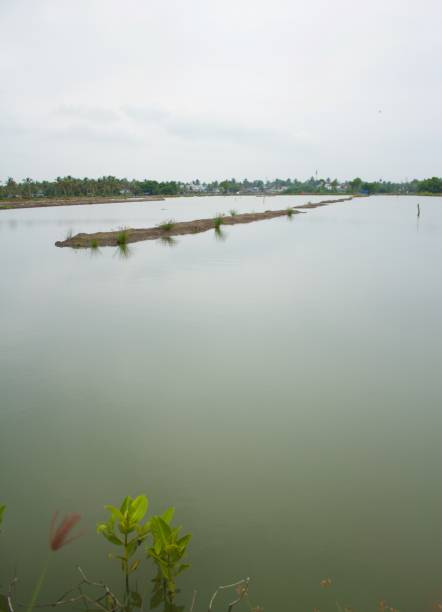 istock view from lake banks 1349781138