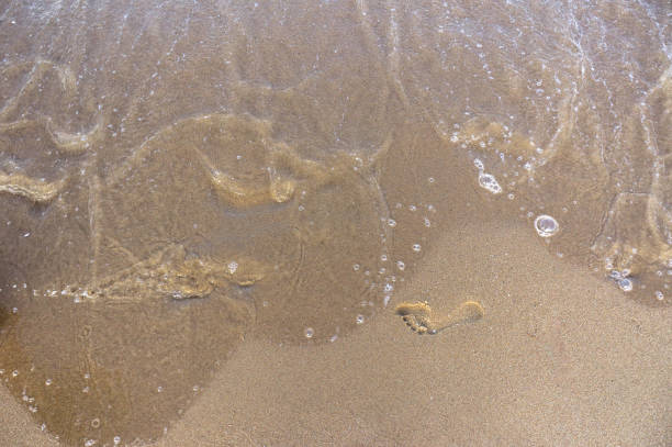 istock Sea surf, waves rolls on a sandy beach 1349783446