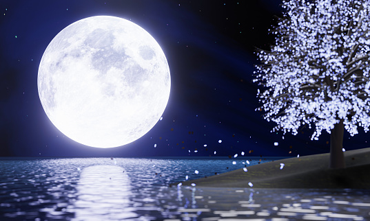 full blue moon In the night sky there are stars in the sky. Super Moon in the middle of the sea with reflections on the water surface. Blurred fantasy trees glowing leaves are falling. 3D rendering