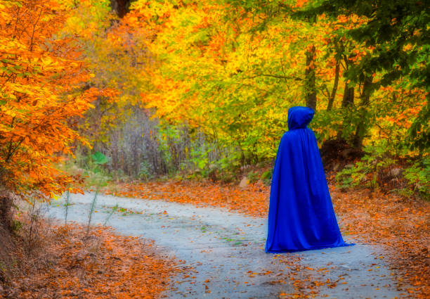 istock Autumn image and colorful leaves. 1349791904