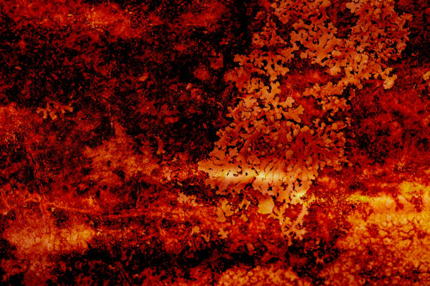 istock Red and black dark abstract background or texture 1349798998