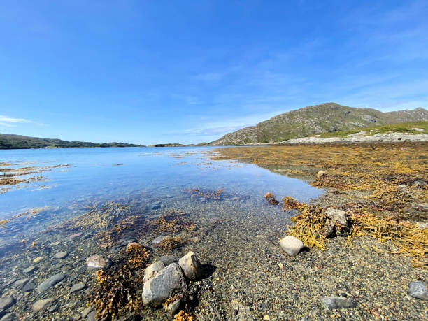 istock A view of the Scotland Countryside 1349799441