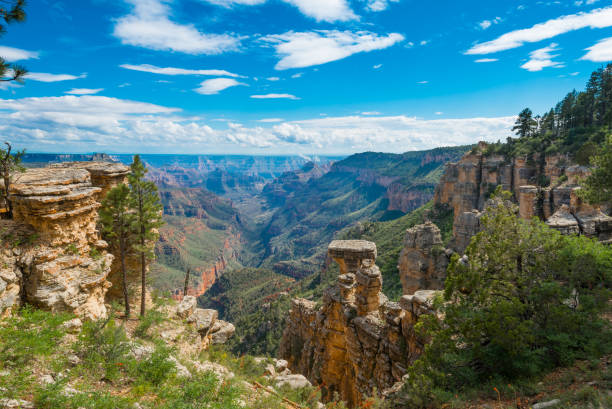 istock Crystal Canyon, Grand Canyon National Park, AZ. 1349799634