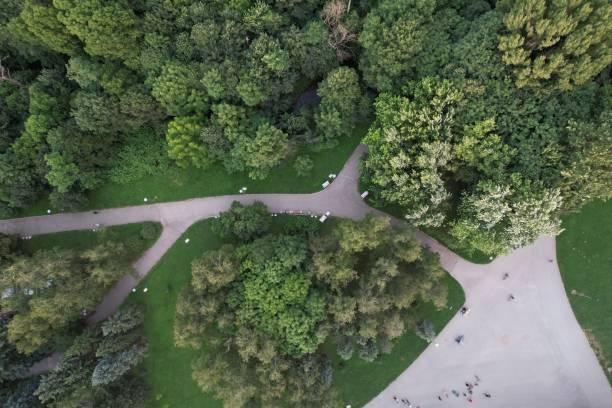 istock Urban park with meadow, trees and paths. Top view 1349799711