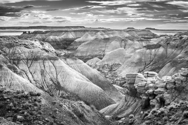 istock Blue Forest, Petrified Forest National Park, AZ. 1349800087