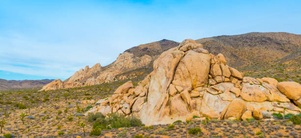 istock Monzogranite Mounds, Jousha Tree National Park. 1349803029