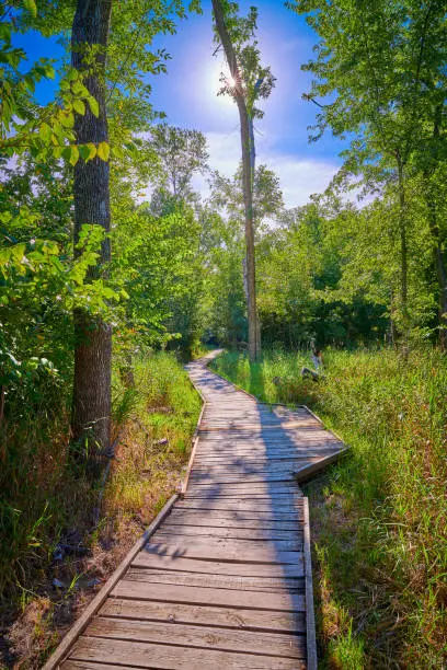 Photo of Boardwalk at Pershing State Park, MO.