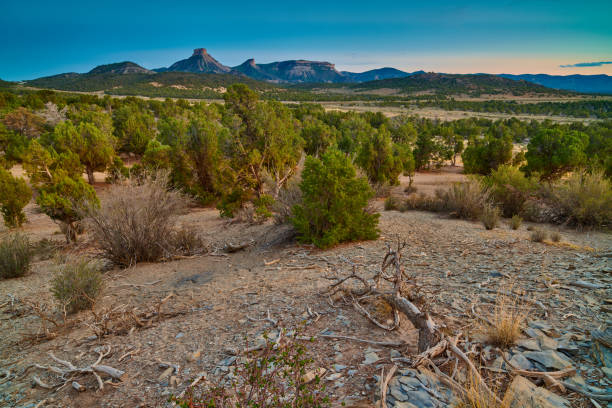 point lookout, lone cone, e knife edge do parque nacional mesa verda. - knife edge - fotografias e filmes do acervo