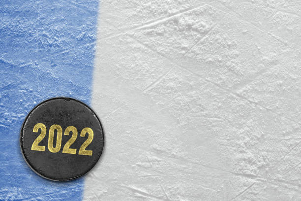 istock Ice hockey puck with blue line 1349804911