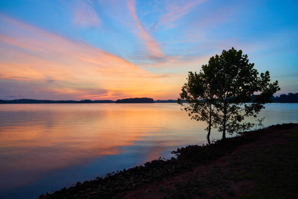 nascer do sol no lago keowee, sc. - city of sunrise sunrise tree sky - fotografias e filmes do acervo