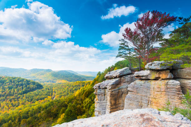 istock East Pinnacle Lookout. 1349805161