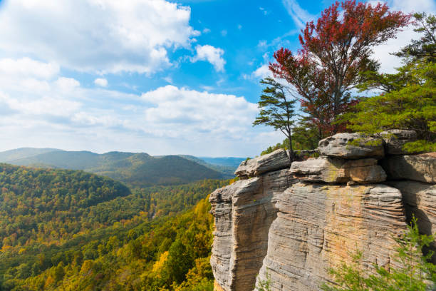 istock East Pinnacle Lookout. 1349805171