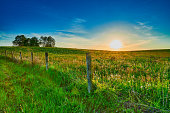 istock Sunset over a Open Field. 1349805520