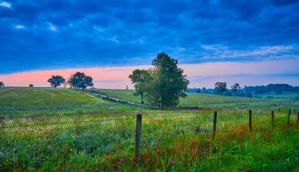 istock Country Scene with Road. 1349805882