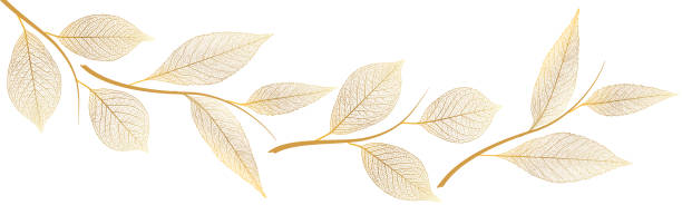 ilustraciones, imágenes clip art, dibujos animados e iconos de stock de hermoso fondo con vena de hojas doradas. - gilded