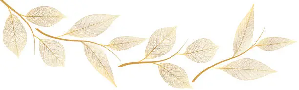 Vector illustration of Beautiful background with gold leaves vein.