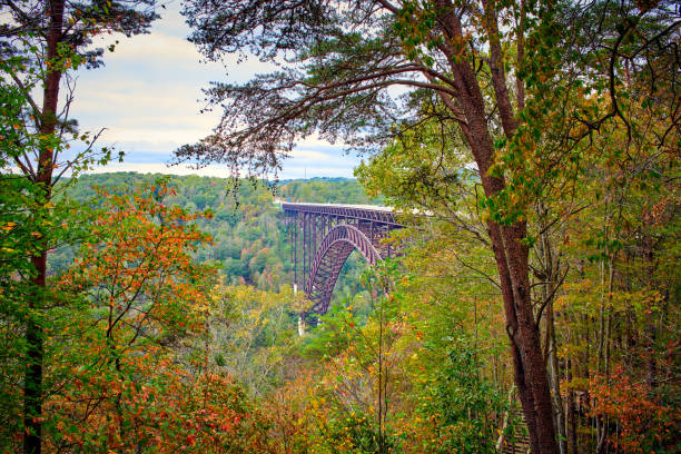 New River Gorge Bridge as viewed from overlook.
