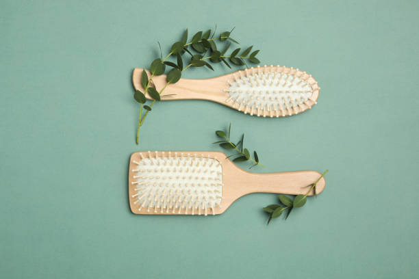 Modern hair brushes and plants on green background, flat lay Modern hair brushes and plants on green background, flat lay a hairbrush stock pictures, royalty-free photos & images