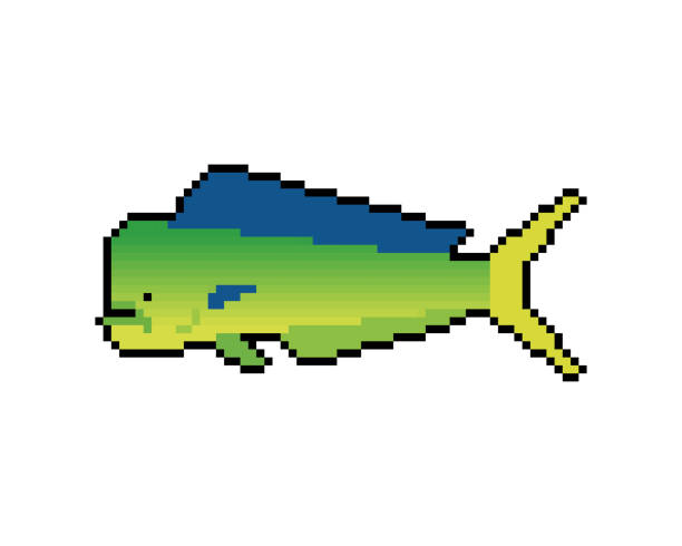 ilustraciones, imágenes clip art, dibujos animados e iconos de stock de dorado fish pixel art. 8 bit mahi mahi pixelado. ilustración vectorial - coryphaena