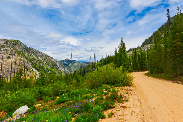 istock Mountain road, East Fork Road to McCall, Idaho. 1349809949