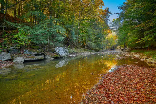 Photo of War Creek next to Turkey Foot Campground in the Daniel Boone National Forest near McKee, KY.