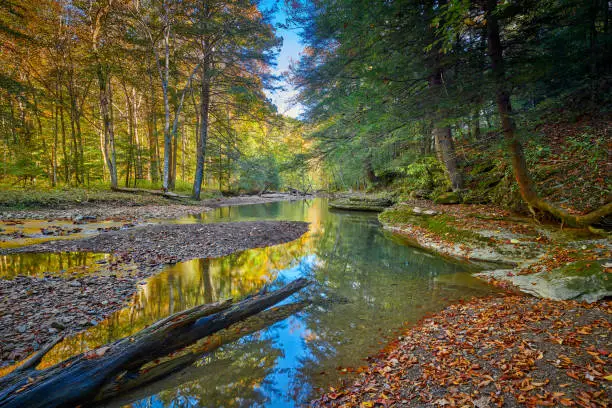 Photo of View of War Creek next to Turkey Foot Campground in the Daniel Boone National Forest near McKee, KY.