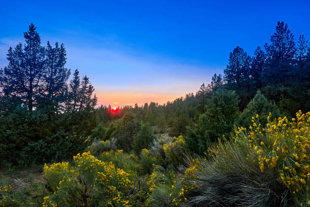 istock Sunset at Pine Lake Campground in the Dixie National Forest, Utah. 1349810542