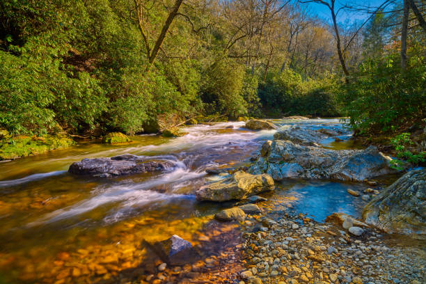 ピスガ国有林ノースカロライナ州のミルズ川。 - usa scenics landscape rock ストックフォトと画像