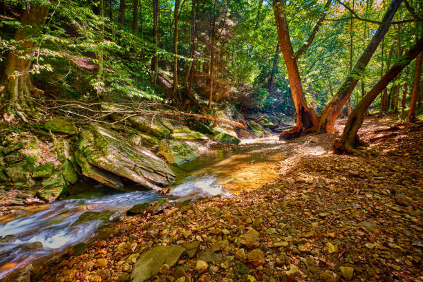 Hamilton, Ontario - waterway along the Bruce Trail