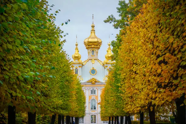 Photo of Autumn alley and the Church building of the Grand Palace in Peterhof