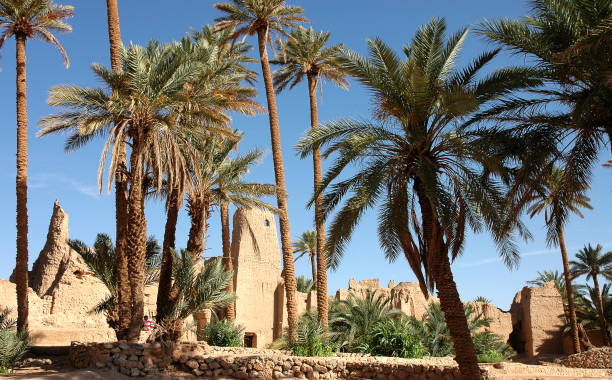 istock Palm grove of  Figuig in south-eastern Morocco 1349813177