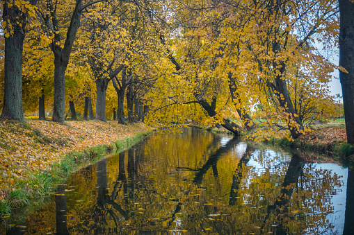Water canal in autumn in the park of Peterhof Palace