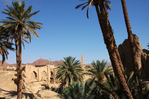 istock Palm grove of  Figuig in south-eastern Morocco 1349816273