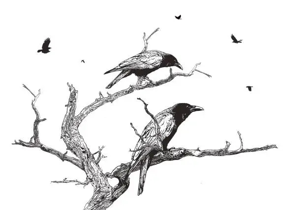 Vector illustration of Crows perching on a dead tree