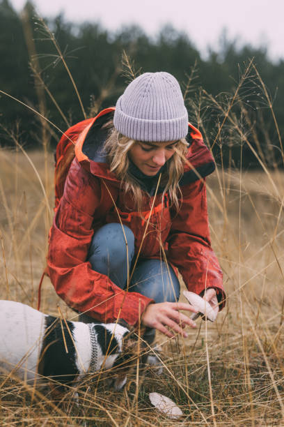 hermosa amante de la naturaleza femenina recogiendo setas en la montaña con su perro en un día lluvioso - vertical meadow mushroom vegetable fotografías e imágenes de stock