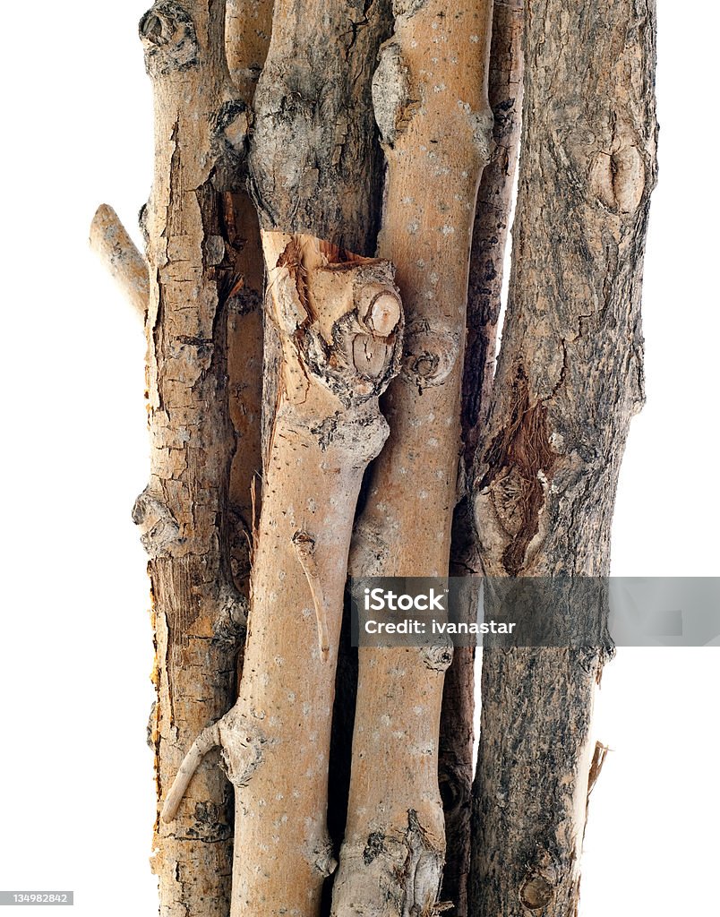Twigs и палки Изолирован на белом - Royalty-free Efeito Texturado Foto de stock