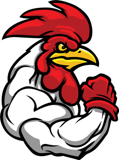 Chicken Cartoon Muscular Build Rooster Illustrations, Royalty-Free Vector  Graphics & Clip Art - iStock
