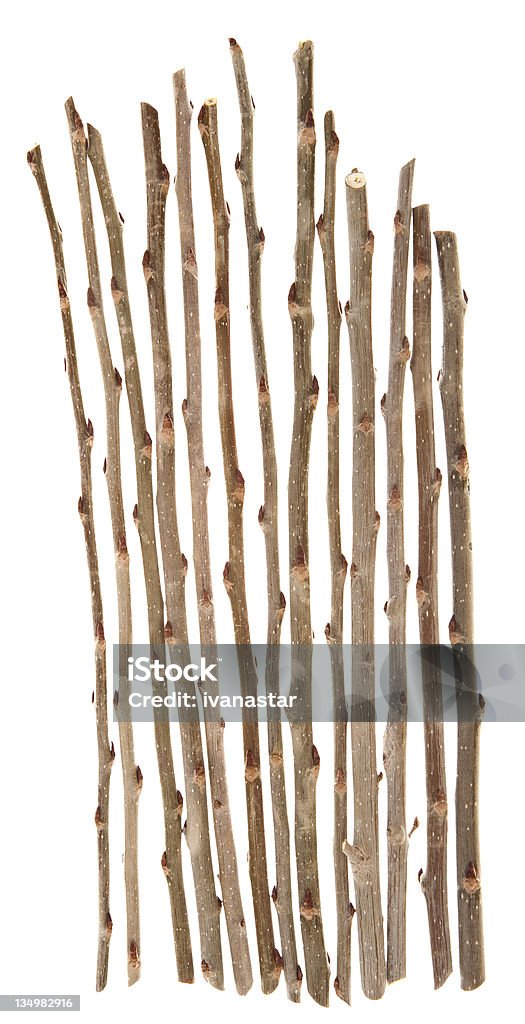 Twigs и палки Изолирован на белом - Royalty-free Efeito Texturado Foto de stock