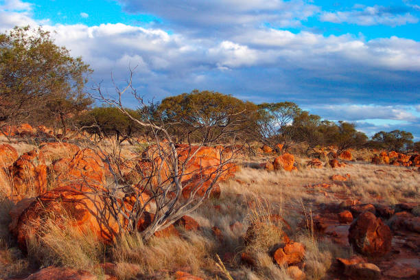 istock Australian Outback Landscapes 1349837201