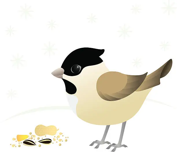 Vector illustration of Chickadee