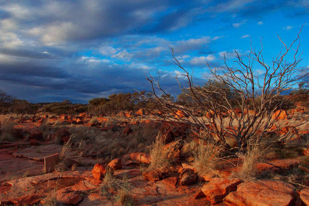 istock Australian Outback Landscapes 1349837551