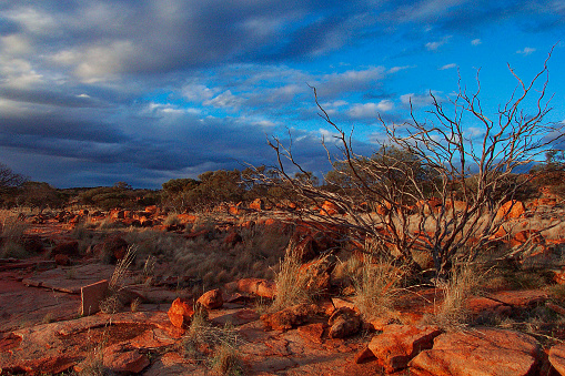 The Australian outback is renowned for its vast size and arid desert landscapes, but these landscapes are also full of unexpected beauty with breathtaking colours and vistas, sometimes in the most unlikely locations