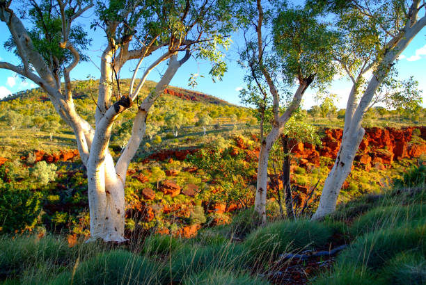 istock Australian Outback Landscapes 1349838264