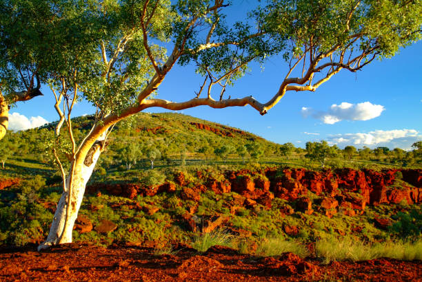 istock Australian Outback Landscapes 1349838286