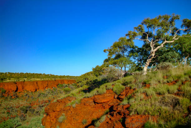 istock Australian Outback Landscapes 1349839363